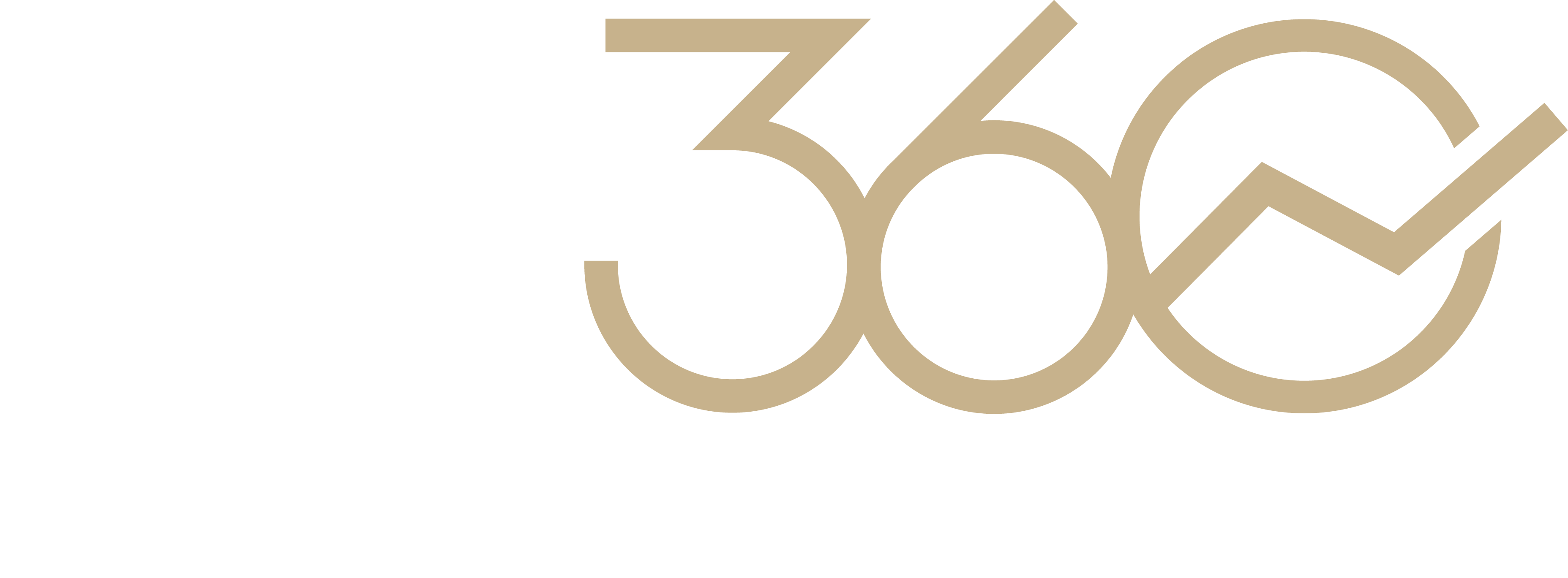 FE360